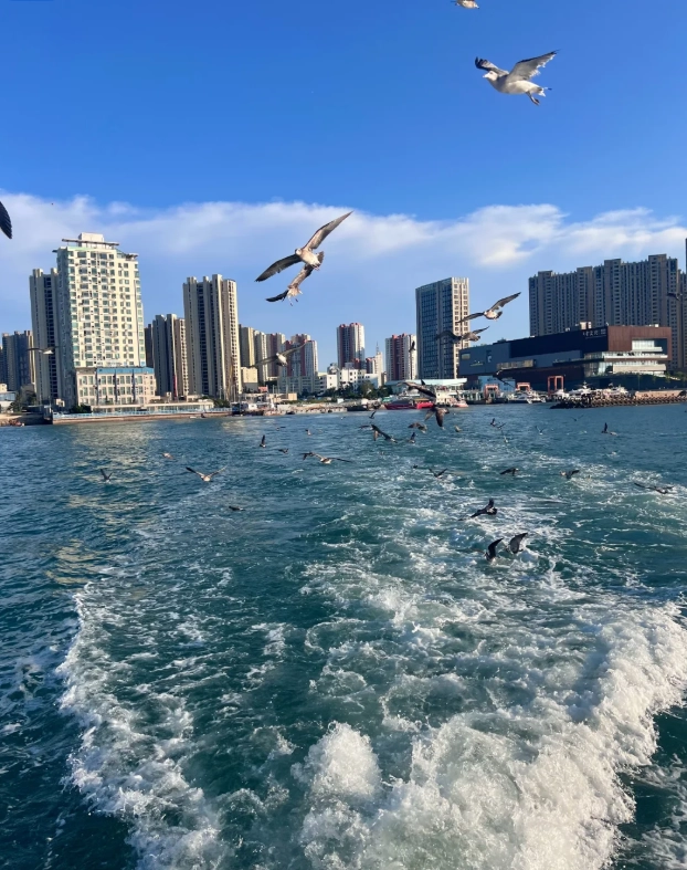 Qingdao English speaking guide