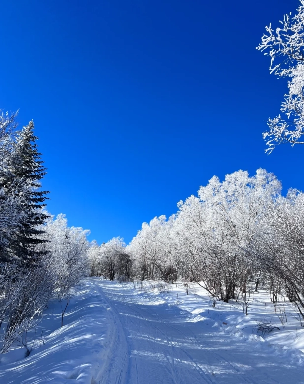 Jilin City rime ice