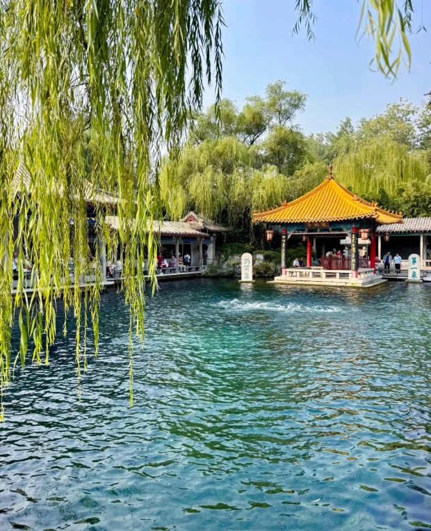Shandong transit tour