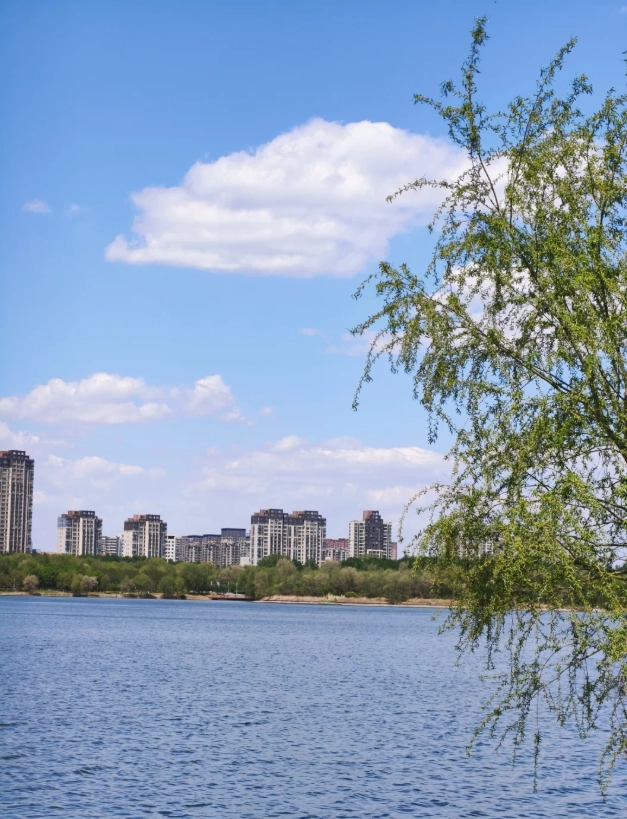 Dalian cherry blossom season Dalian cherry blossom season