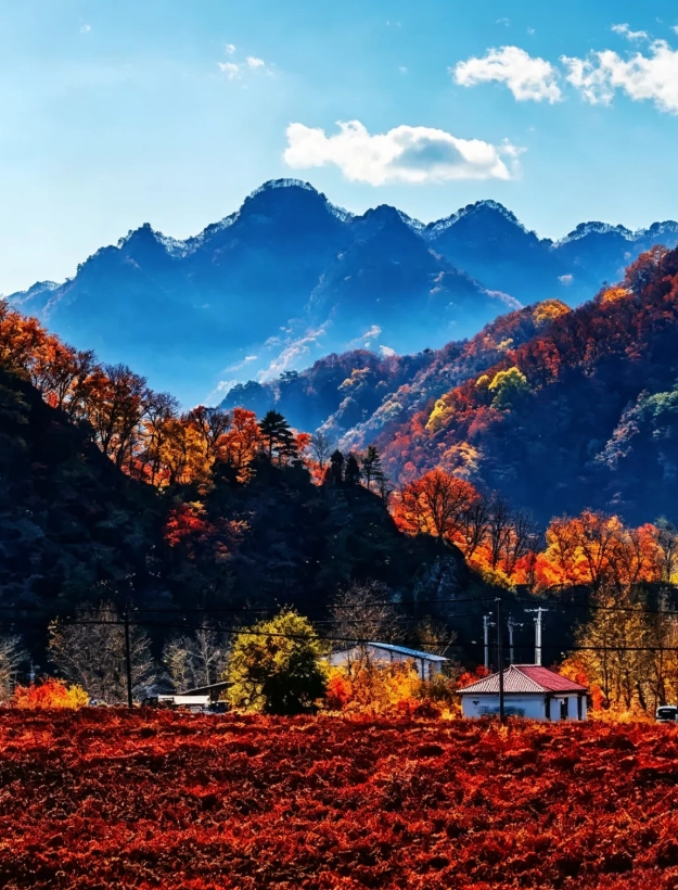 Shenyang travel guide for foreigners