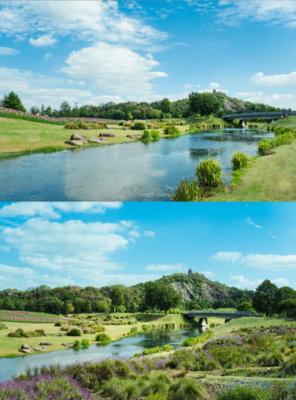 Photo of Chenshan Botanical Garden