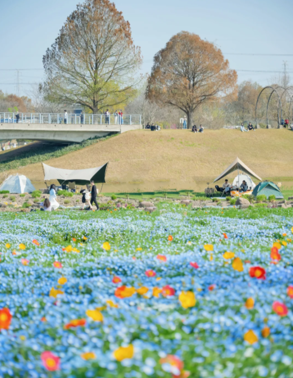 Photo of Sheshan National Forest Park