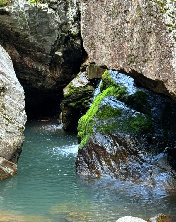 Niubeiliang National Forest Park