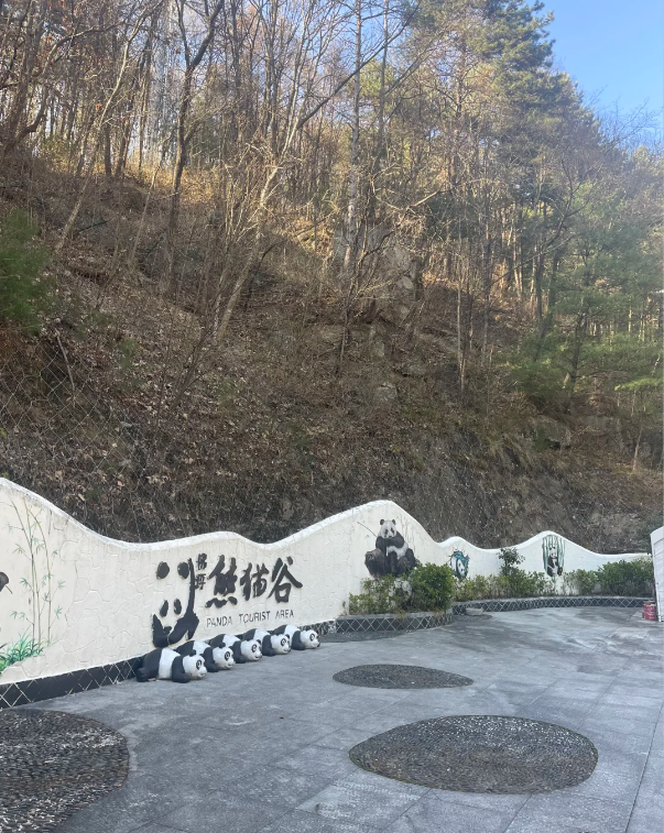 Foping Panda Valley