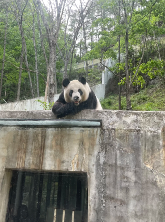 Travel photos of Hanzhong