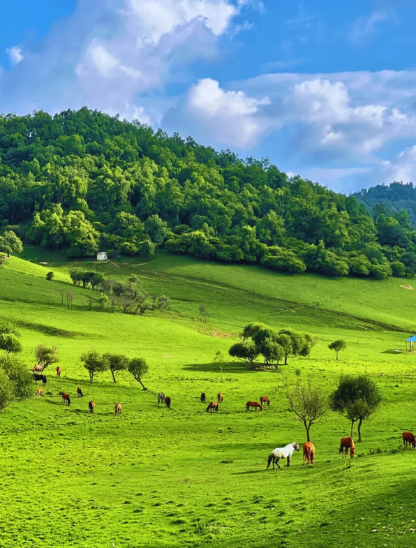 Guanshan Grassland