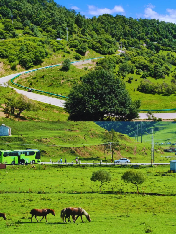 Photo of Guanshan Grassland