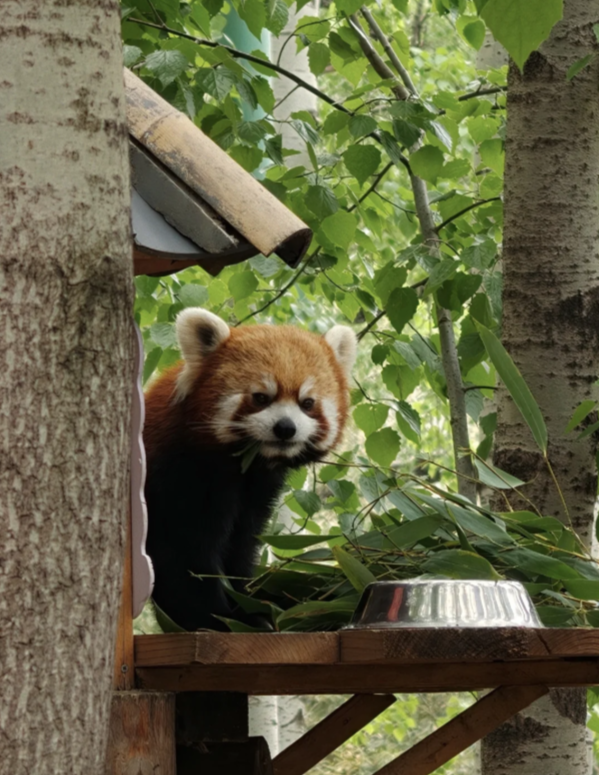 Photo of Beijing Wildlife Park