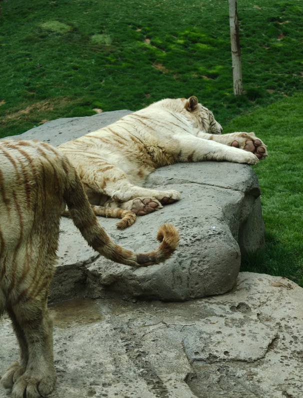 Photo of Beijing Wildlife Park