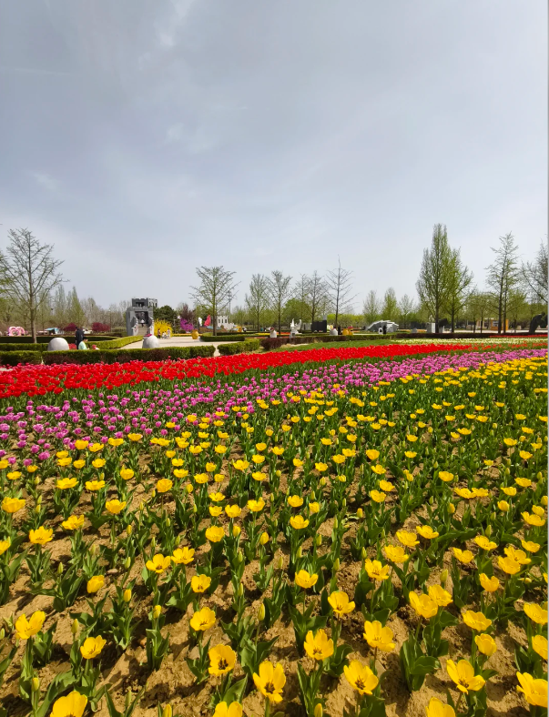 Beijing International Flower Port
