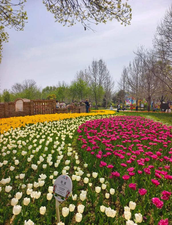 Photo of Beijing International Flower Port