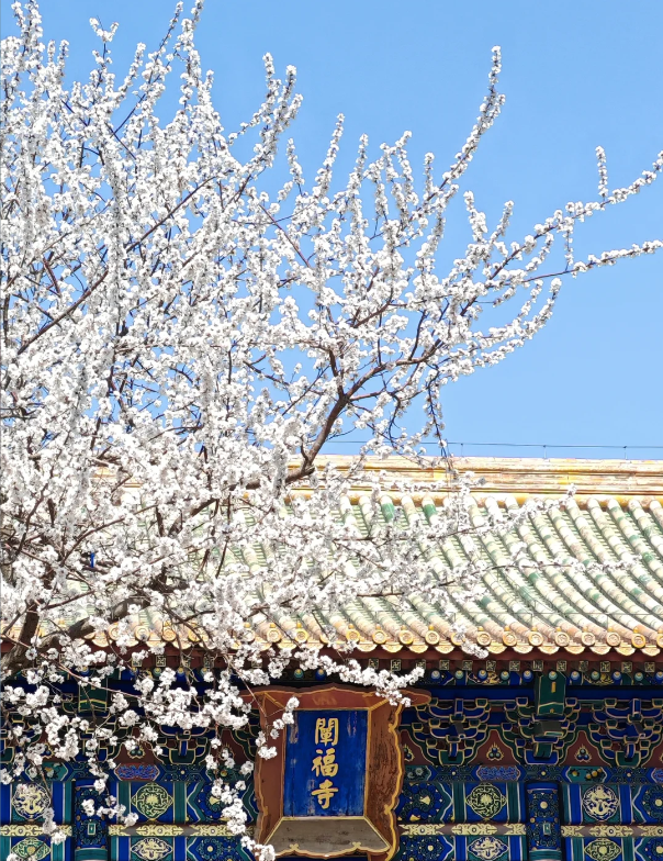 Photo of Beihai Park
